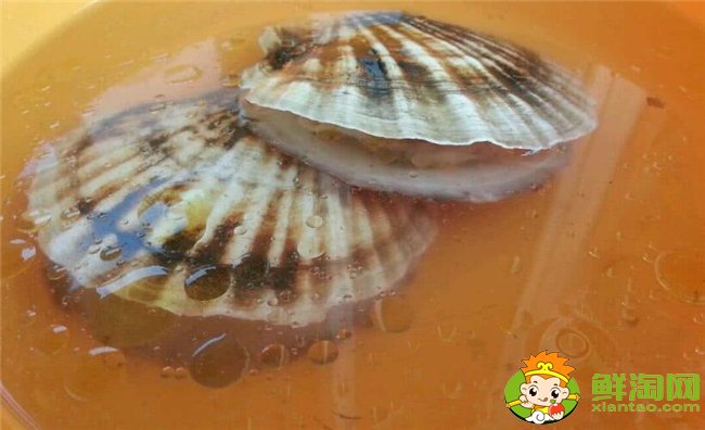 扇貝怎么洗干凈，扇貝肉怎么洗干凈(去除內臟用鹽水生粉唰一唰)