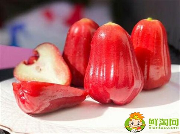 蓮霧產地在哪里，蓮霧產地有哪些地方