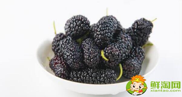 孕婦可以吃桑葚嗎(孕婦能吃桑葚十顆最多)，吃桑葚有什么好處