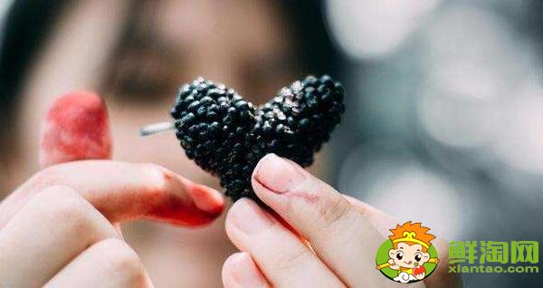 孕婦可以吃桑葚嗎(孕婦能吃桑葚十顆最多)，吃桑葚有什么好處