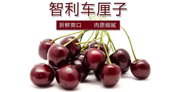 進(jìn)口櫻桃品種排名，櫻桃品種介紹及排名