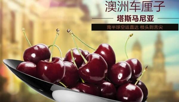 進(jìn)口櫻桃品種排名，櫻桃品種介紹及排名