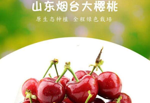 雞心櫻桃是什么品種,雞心櫻桃山東煙臺地區位列第三位