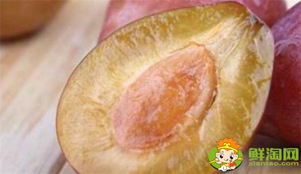 新鮮西梅的功效與作用禁忌，新西梅有什么好處