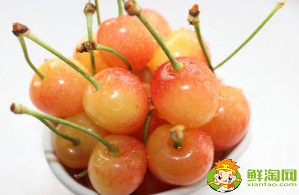 山東煙臺的櫻桃什么時候成熟，煙臺櫻桃成熟的季節初夏4月中旬