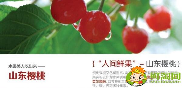 北方櫻桃什么時候成熟，北方好吃最暢銷的櫻桃品種排名