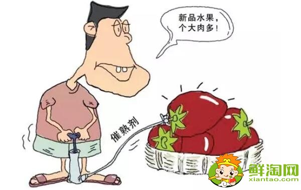 催熟的水果有激素嗎，催熟的水果會讓孩子性早熟嗎(不會)