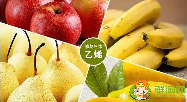 適合催熟的水果有哪些，什么水果催熟效果好