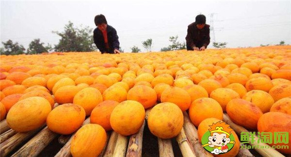 柿子餅怎么做，柿子餅的做法(五步輕松學會)