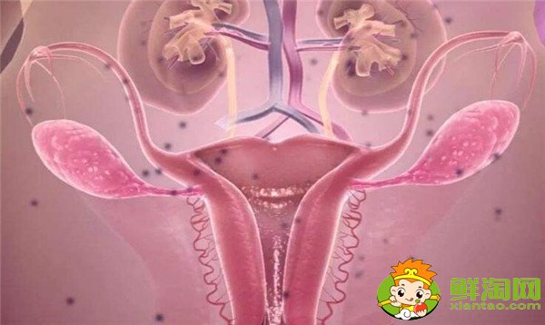 女人月經期能吃蘋果嗎，女性宮寒月來經期能吃蘋果嗎