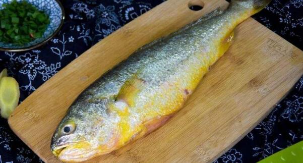 大黃魚和黃花魚的區別