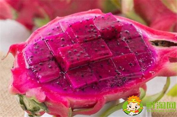 孕婦可以吃火龍果嗎，孕婦能吃火龍果