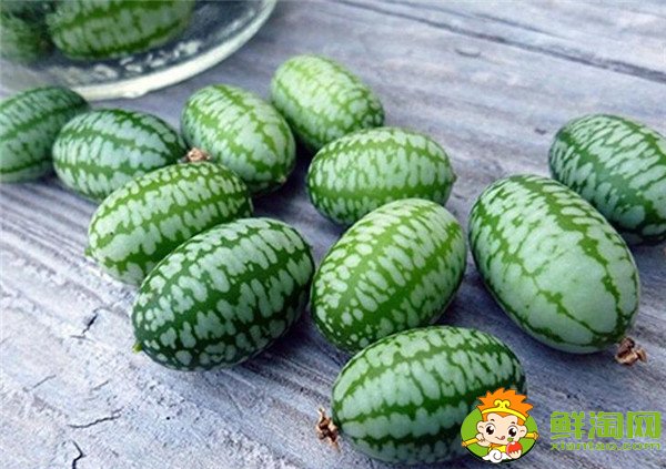 拇指西瓜是幾月種植的