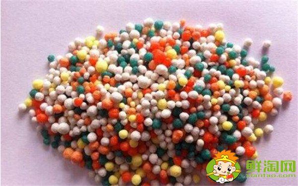 樹葡萄用什么肥料
