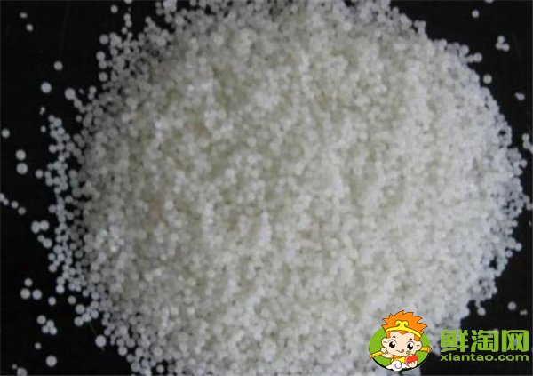 樹葡萄用什么肥料