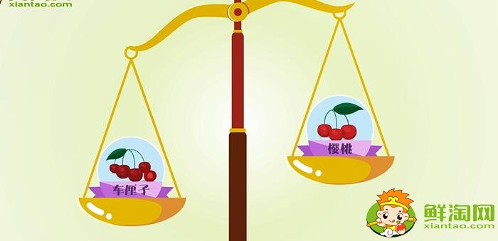 車厘子和櫻桃的區別