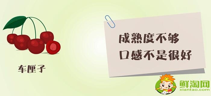 車厘子和櫻桃的區別
