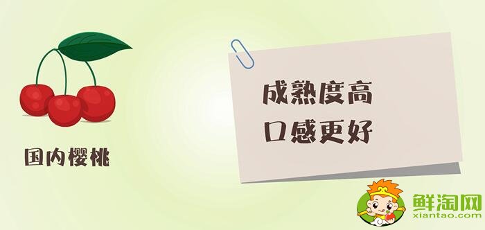 車厘子和櫻桃的區別
