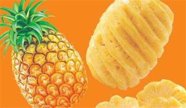 菠蘿和鳳梨的區(qū)別