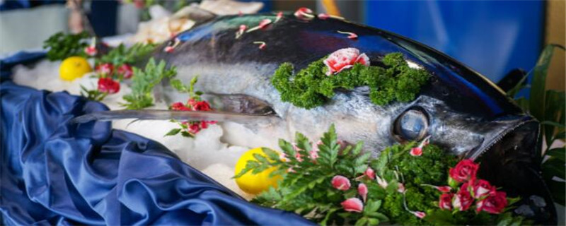金槍魚怎么吃