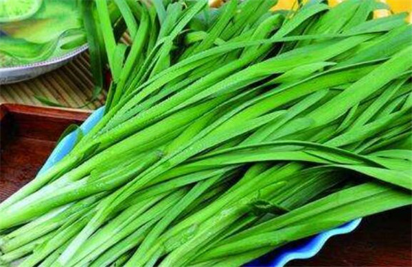 孕婦能吃韭菜嗎，孕婦吃韭菜的好處