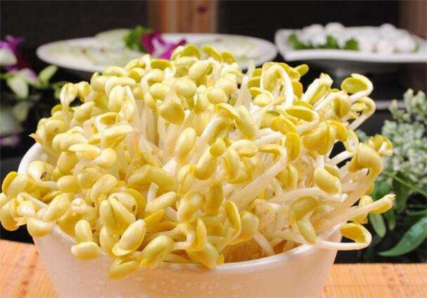 黃豆芽怎么發(fā)最快又好，黃豆芽怎么發(fā)