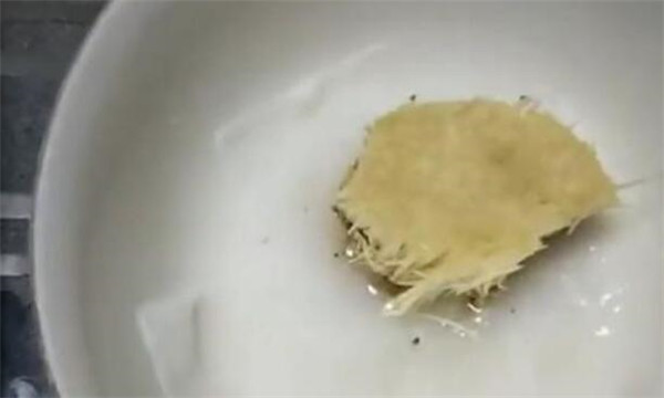 金針菇根部再生方法，金針菇培養液調制再生效果非常好