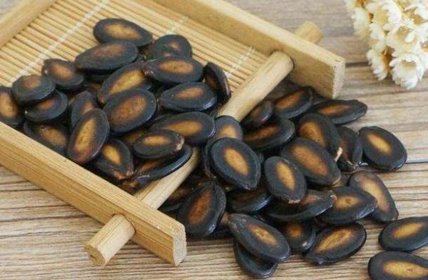 瓜子是不是堅(jiān)果，瓜子種類有哪些