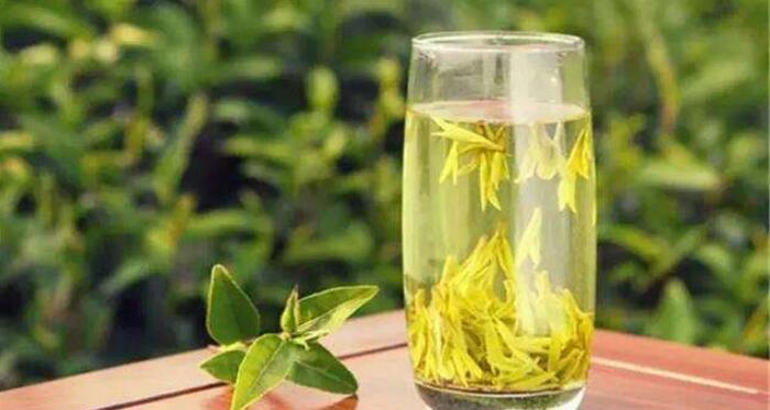 西湖龍井茶是綠茶嗎，龍井茶的功效與作用