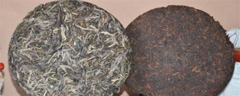 普洱茶生茶和熟茶的區別