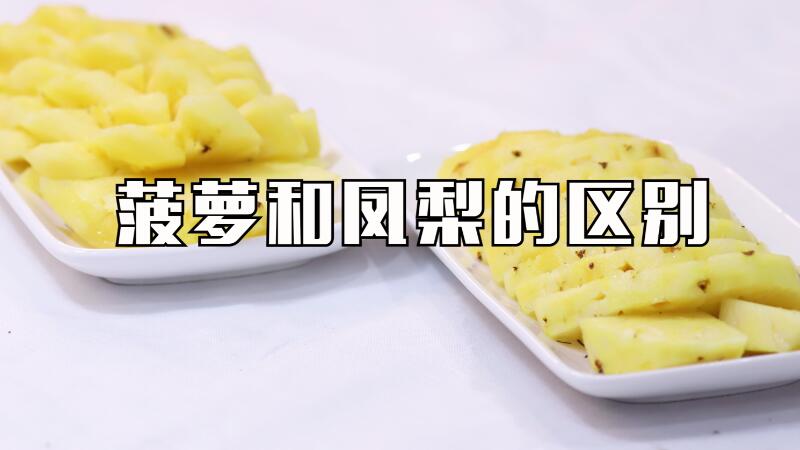 菠蘿和鳳梨的區(qū)別
