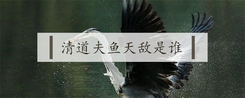 清道夫魚天敵是誰