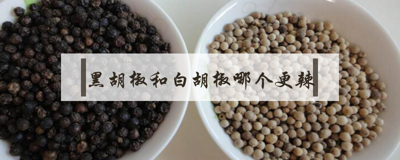 黑胡椒和白胡椒哪個(gè)更辣