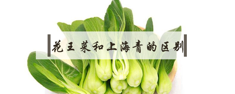 花王菜和上海青的區別