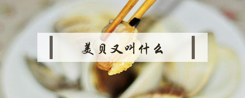 美貝又叫什么