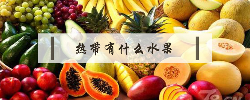 熱帶有什么水果