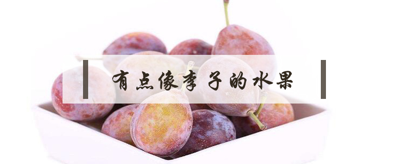 有點像李子的水果