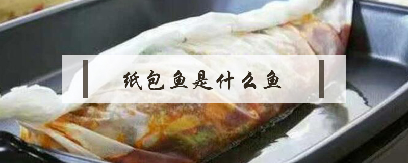 紙包魚是什么魚