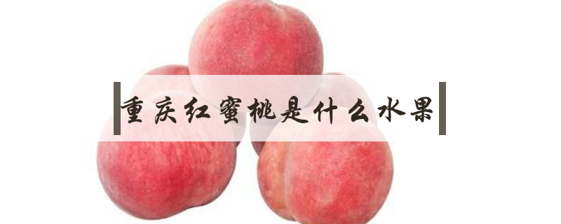 重慶紅蜜桃是什么水果