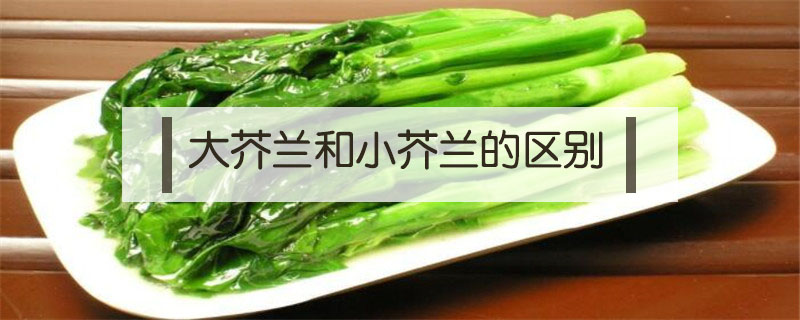 大芥蘭和小芥蘭的區(qū)別