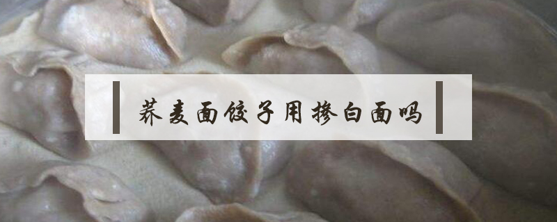 蕎麥面餃子用摻白面嗎