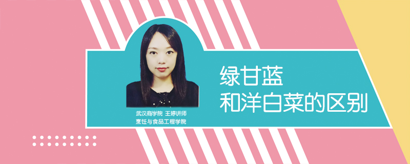 綠甘藍(lán)和洋白菜的區(qū)別