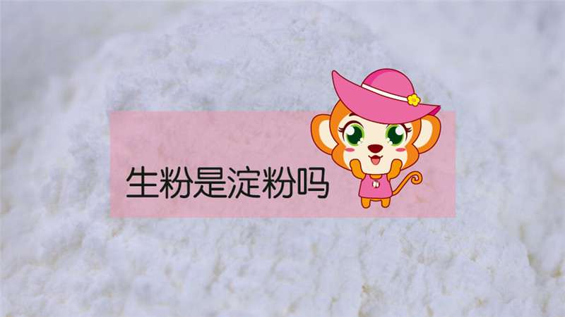 生粉是淀粉嗎