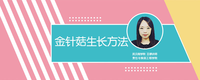 金針菇生長方法