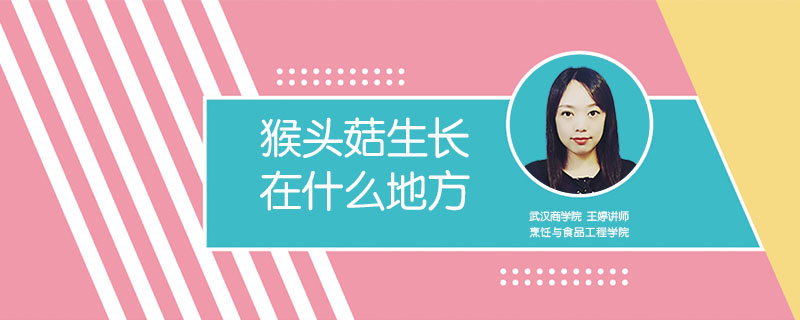 猴頭菇生長在什么地方