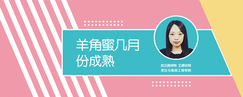 羊角蜜幾月份成熟