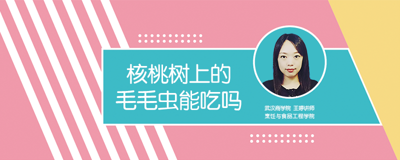 核桃樹上的毛毛蟲能吃嗎