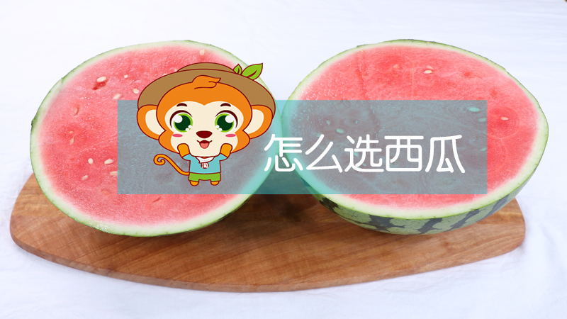 怎么選西瓜