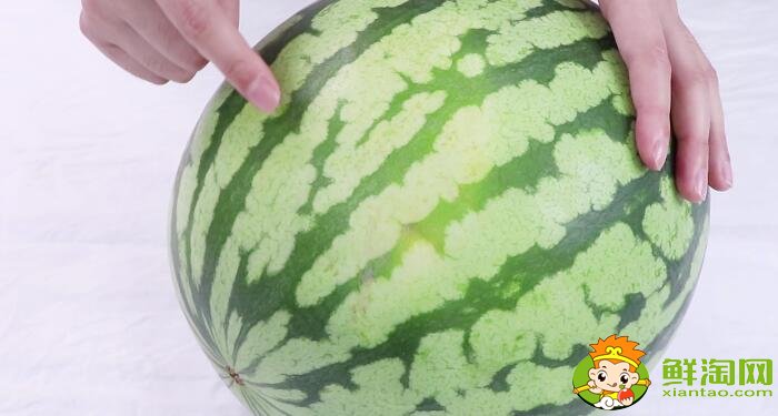 怎么選西瓜