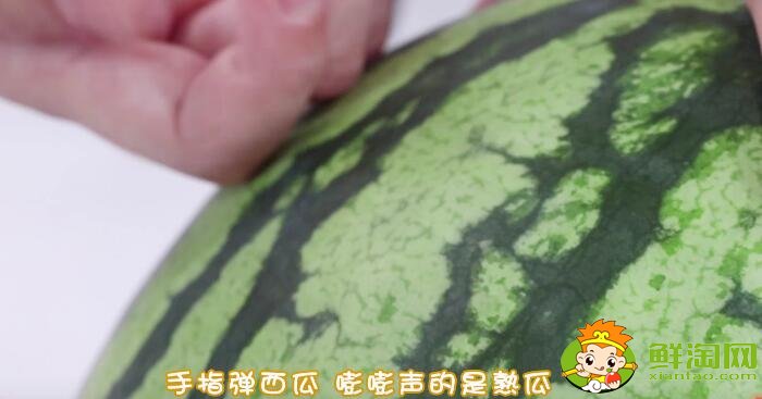 怎么選西瓜